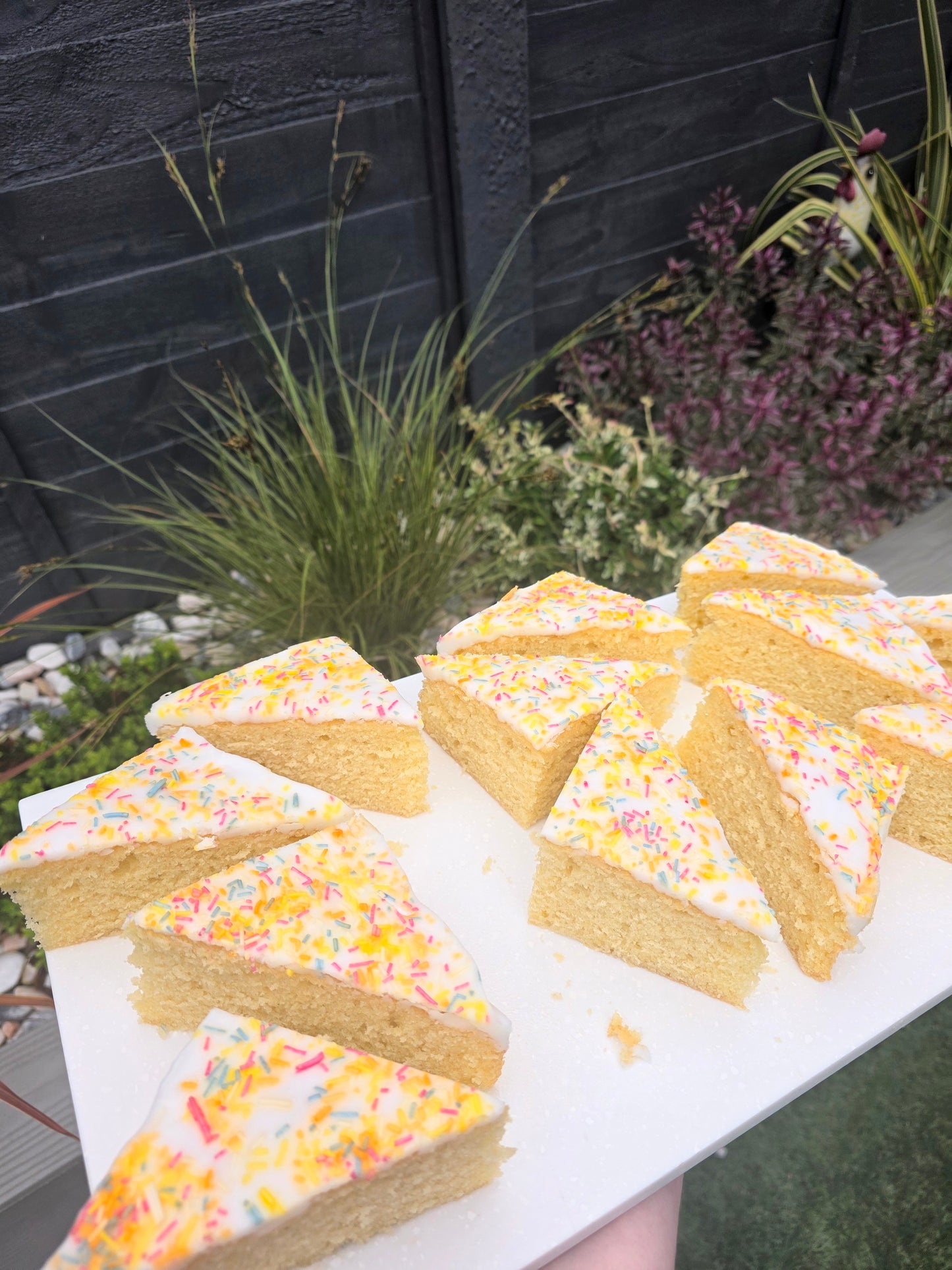 GLUTEN FREE / DAIRY FREE Old School Sponge