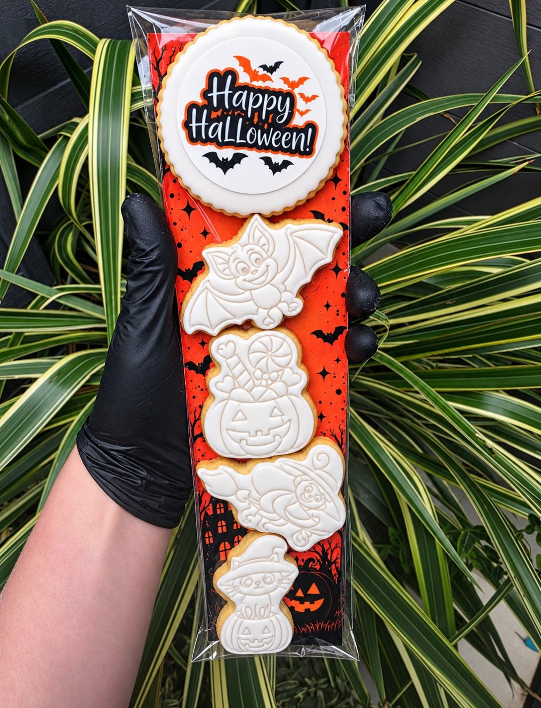 Halloween Paint Your Own Cookies - Gluten free - Set of 1